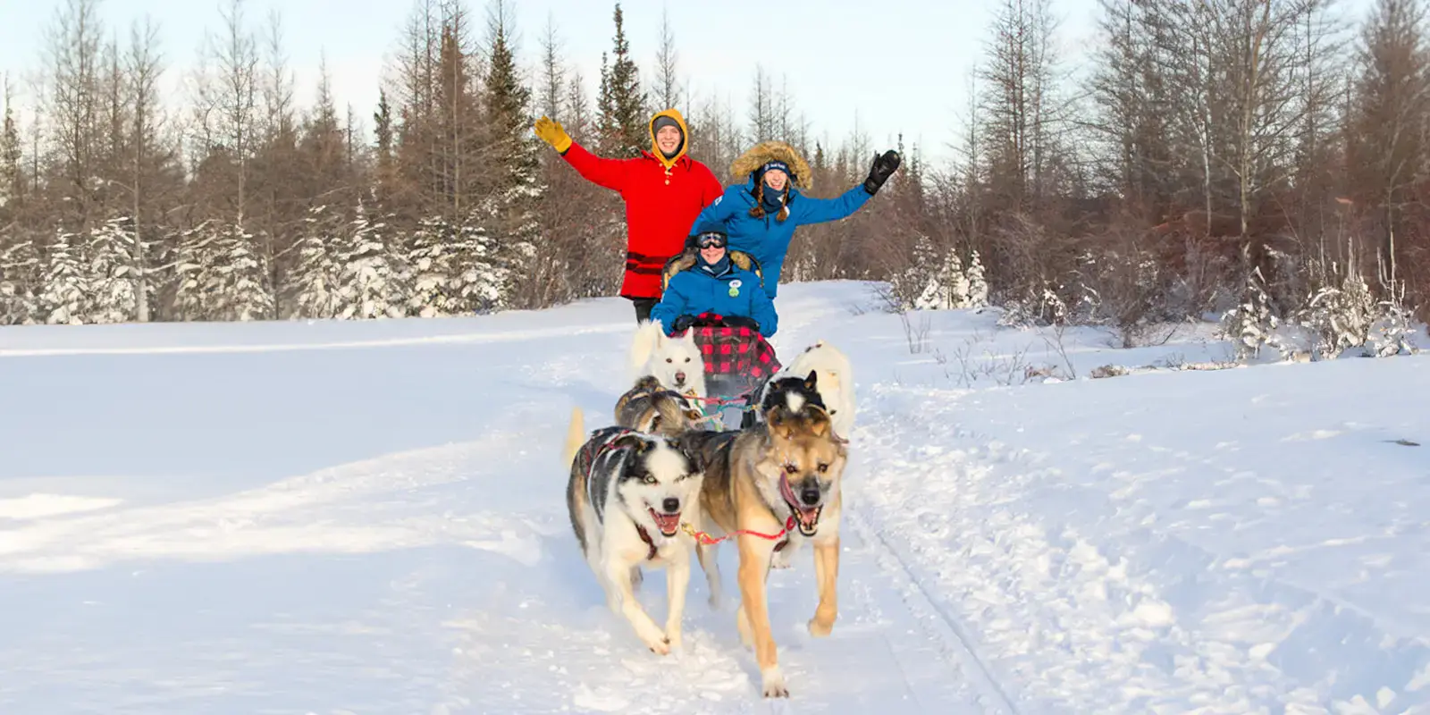 Guests dog carting near Churchill, Manitoba